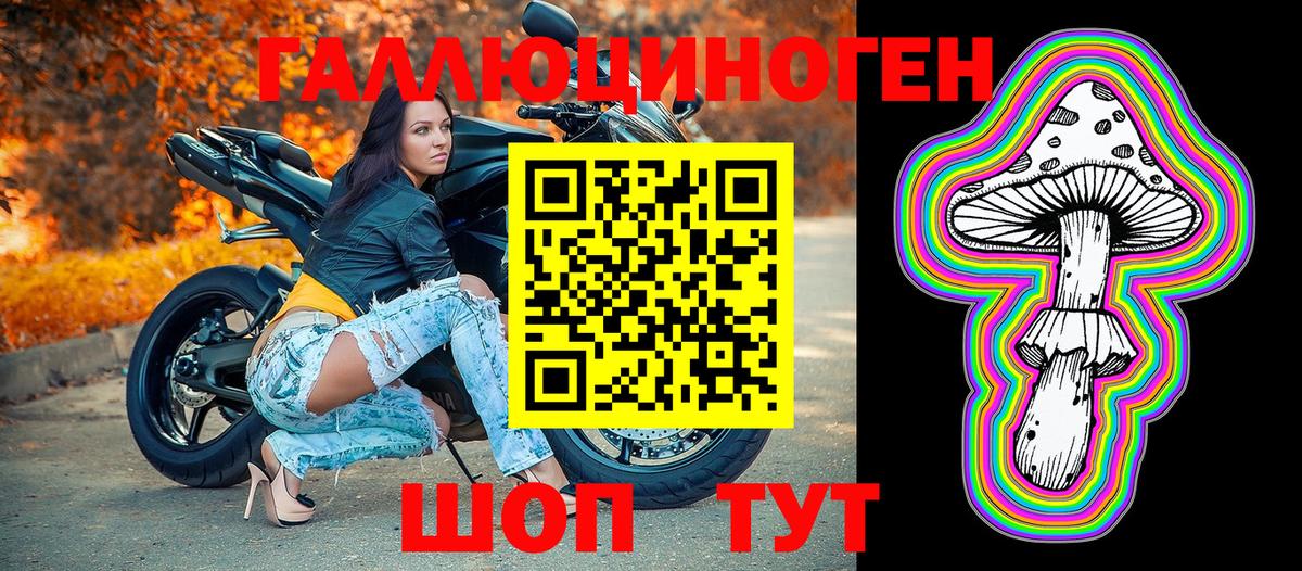 Галлюциногенные грибы Cubensis Кольчугино