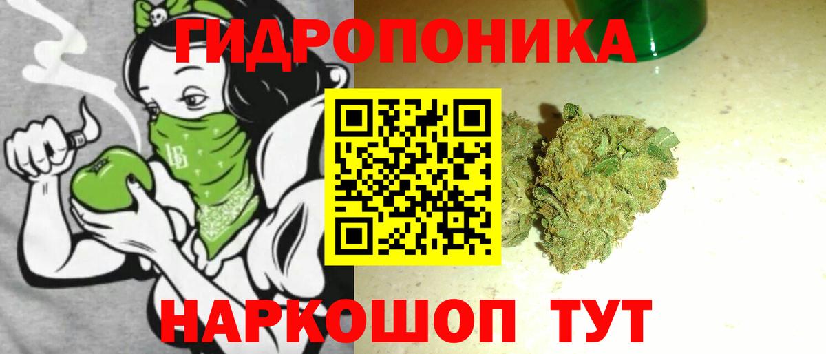 Шишки марихуана индика Кольчугино